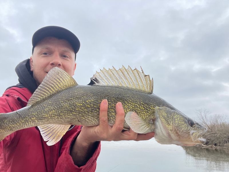 Spring Walleye Fishing on the Missouri River Near Bismarck